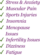 3 Stress & Anxiety
3 Muscular Pain
3 Sports Injuries
3 Insomnia
3 Menopause      Issues
3 Infertility Issues
3 Dizziness
3 Fatigue